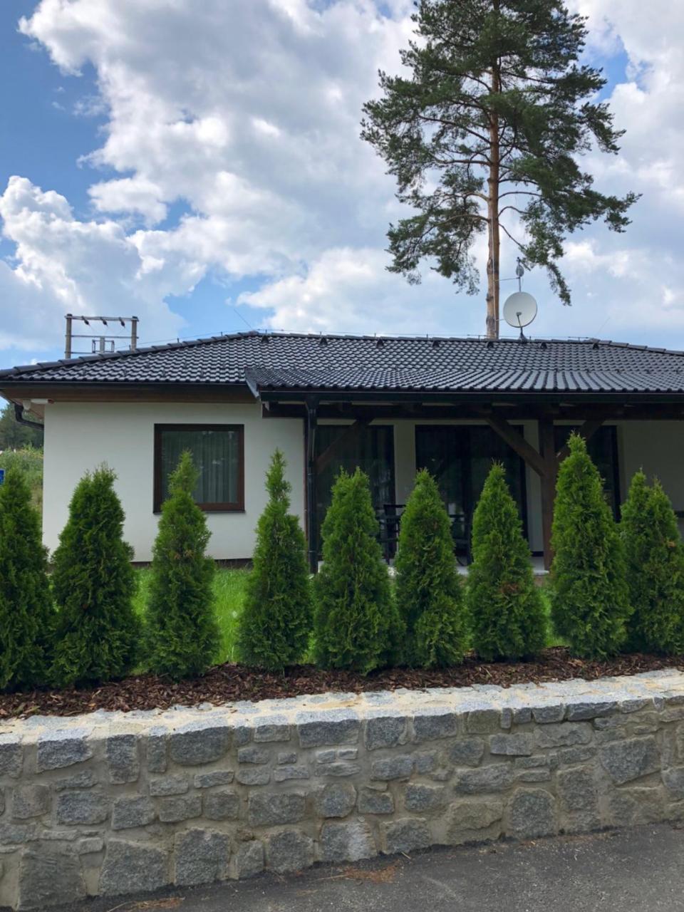 Vila Hanka Βίλα Lipno nad Vltavou Εξωτερικό φωτογραφία